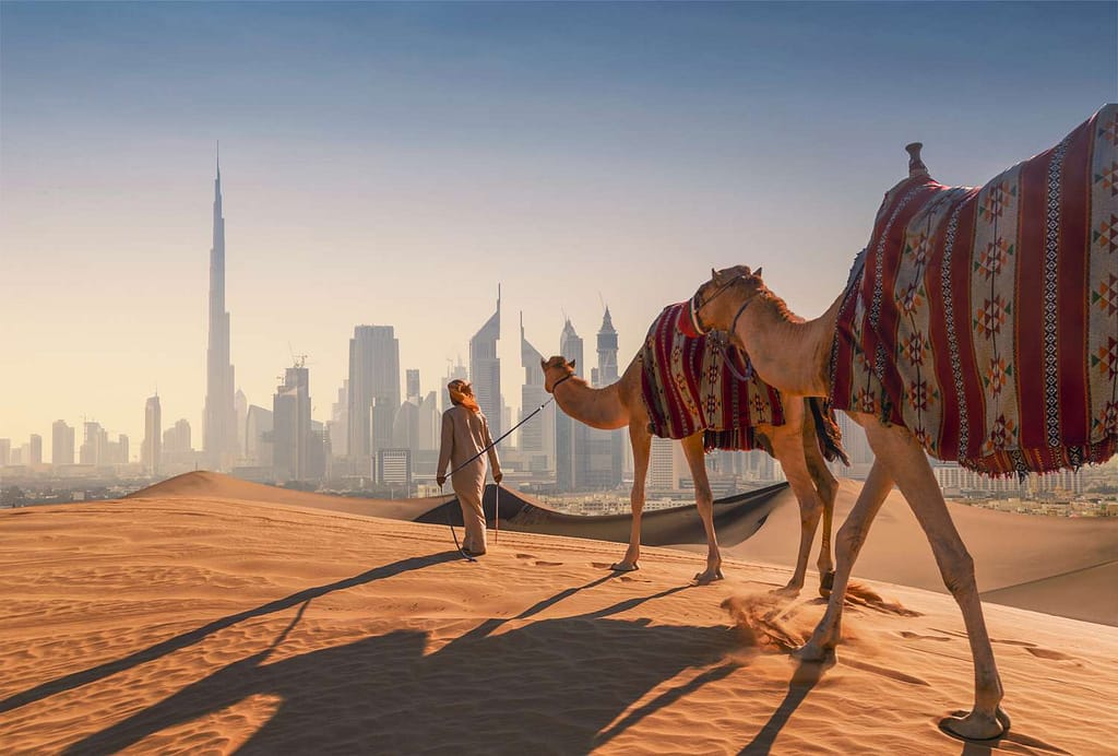 Dubai tour